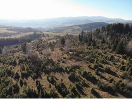 Poljoprivredno zemljište, Prodaja, Nova Varoš, Komarani